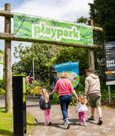 Belfast_Zoo_Photoshoot-_LOW_RES-3_212549177